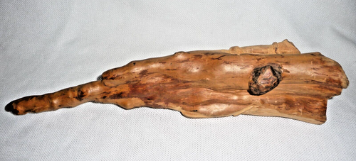 Cypress Knee carved wood octopus/moray/starfish 15" tall - Picture 7 of 8