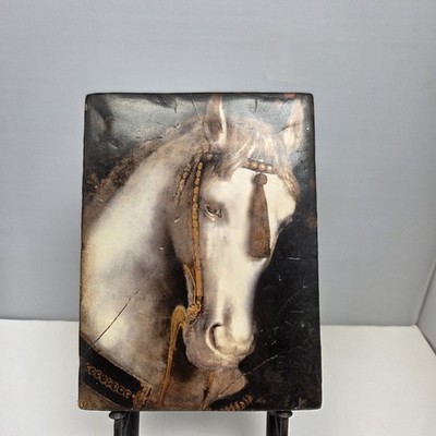 Sid Dickens Memory Block T-104 White Horse