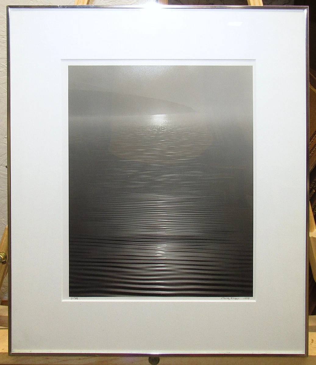 Landscape Black & White Original Art Photographs for sale | eBay