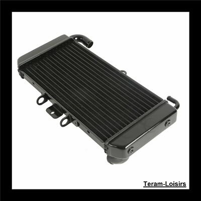Radiateur Neuf Pour Yamaha FZS 600 Fazer 1998-2003 - Compatible 5RT-12461-00-00 - Livraison France