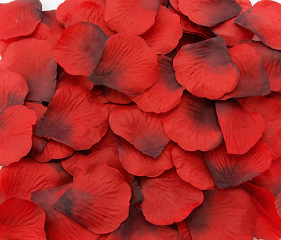 100 500 1000 Dunkel Rot Rosenblätter Rosenblüten Liebe Rose Hochzeit Romantik