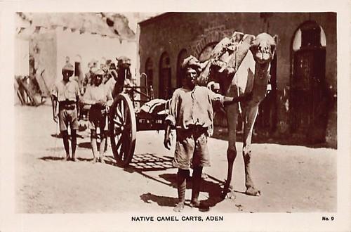 Yemen - ADEN - Native camel carts - Publ. M. S. Lehem & Co. 9 - Bild 1 von 2