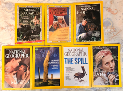 Lot 7 National Geographic 1963 1965 2017 2014 1995 2003 Jane