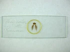 Antique microscope slide. "Head of Moth of Silkworm". Inscribed description.