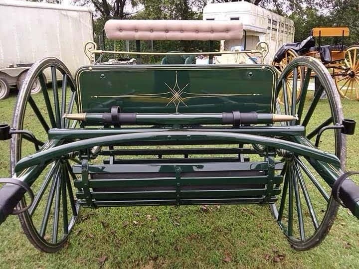 Green Traditional Full Size Horse Carriage with Cushioned Seat Brass Details 394
