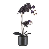 artplants Kunst Phalaenopsis Orchidee Mayak, Keramiktopf, Schwarz, 50Cm