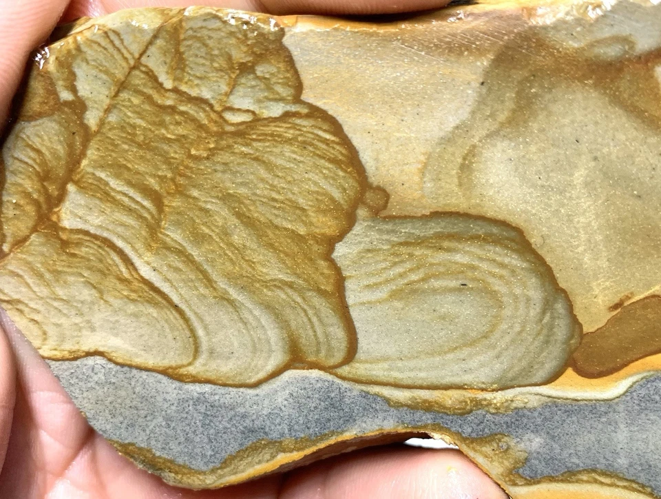 Disaster Peak Picture Jasper Slab - Image 4 of 4