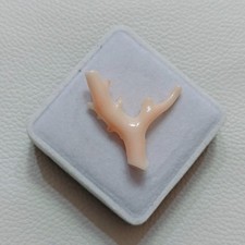 Natural Coral Branch LooseGemstone Mediterranean Japan Pink Coral Polished Rough