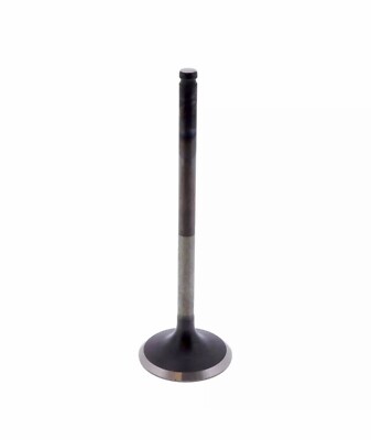 Valve Exhaust System JMP 14721-MBB-000