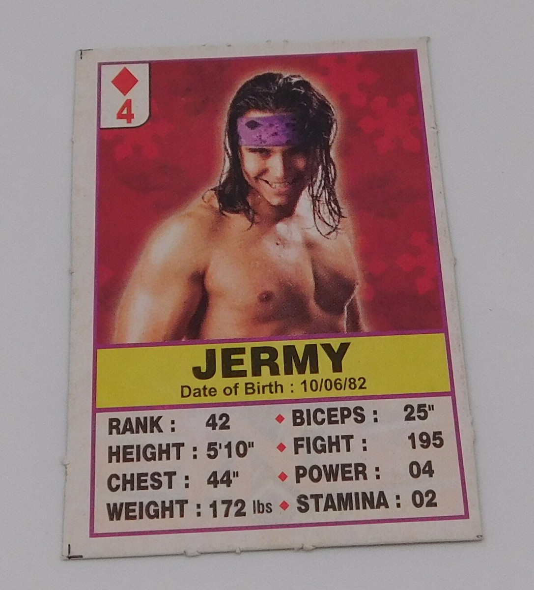Matt Jackson Jeremy Young Bucks TNA Wrestling Playing Trading Card