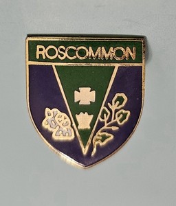 Vintage County Roscommon Ireland Coat Of Arms Pin USED