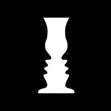 THE SENSORY ILLUSIONS - The Sensory Illusions