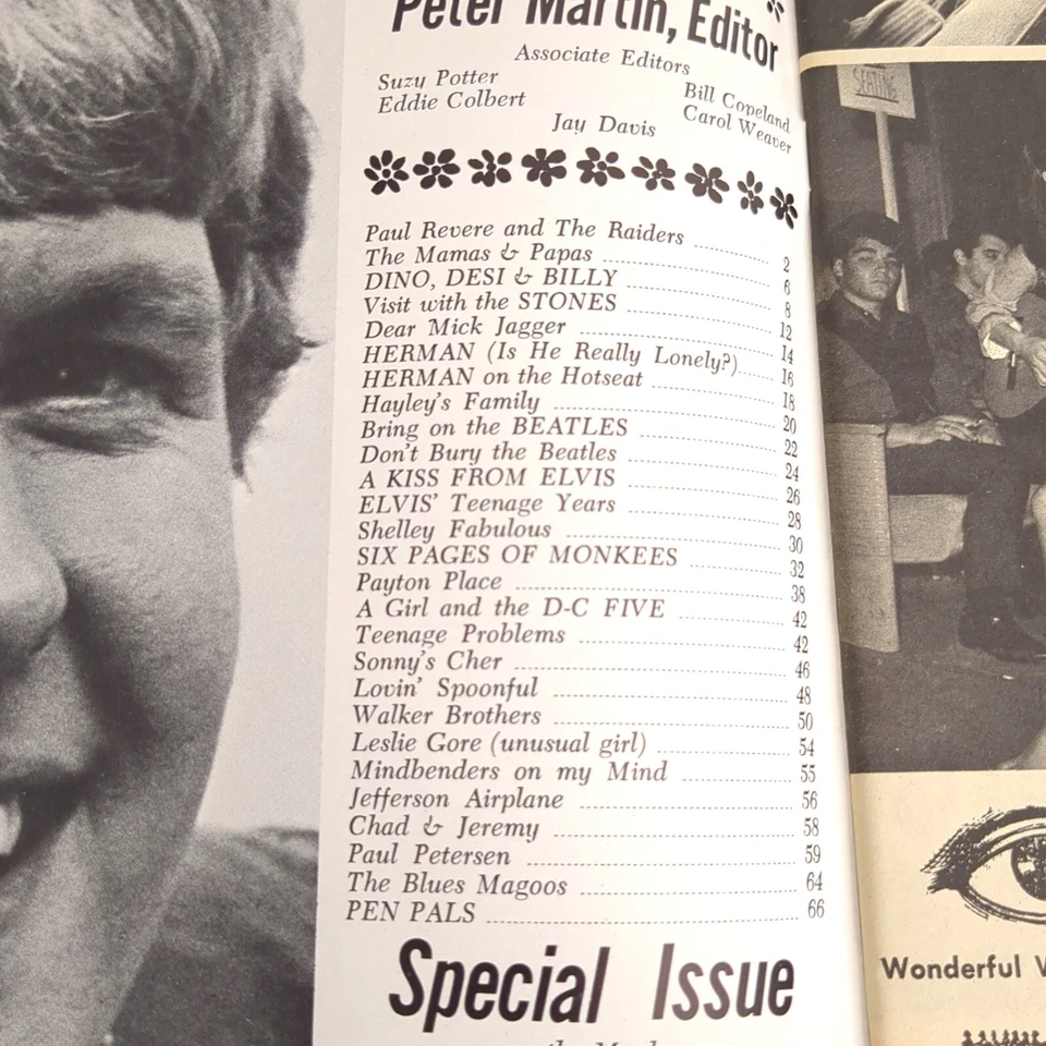 Movie Teen Illustrated July 1967 ROLLING STONES - BLUES MAGOOS - DONOVAN Foto 4 de 4