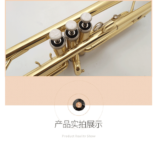 Small Instruments, Western Brass, Adult Band Playing Lacquer Gold - Picture 4 of 7