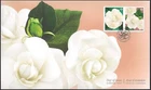 🍁Canada  #3170 / 3169     "GARDENIAS"   Brand New  2019 First Day Cover
