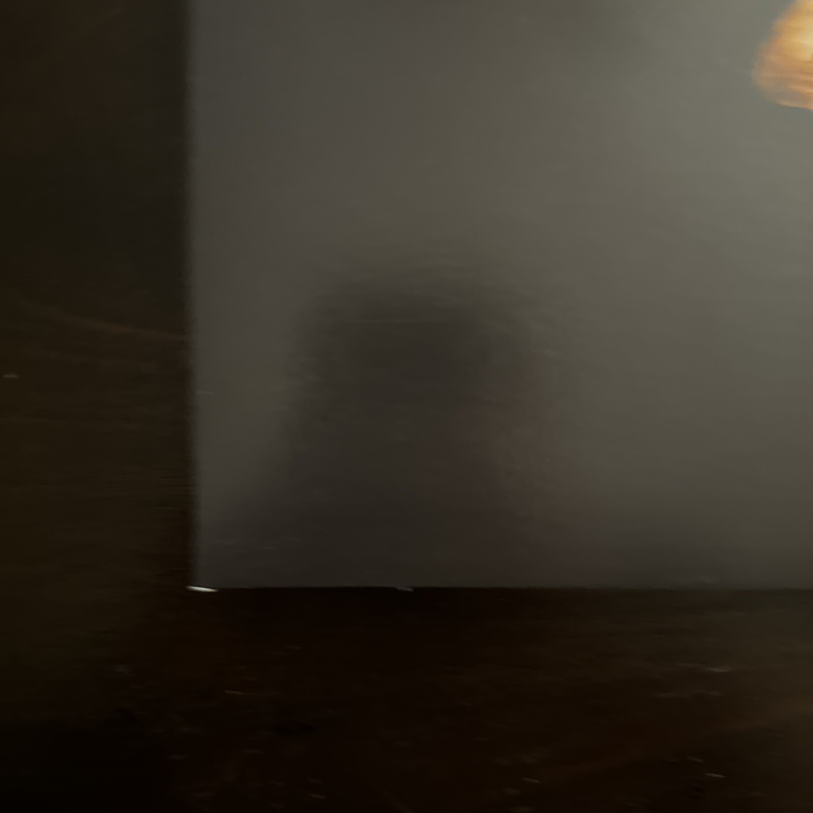 Picture 5 of 12