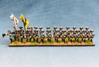 15mm  Seven Years War WGS painted Reichsarmee Varell Infantry REA2