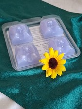 PartyLite Melts für Fragrance Flame - Outdoor, Geranie Zitronella neu OVP RAR