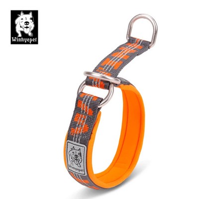 Truelove Pet Collar P Chain Reflective Nylon Neoprene Padded Half Choke