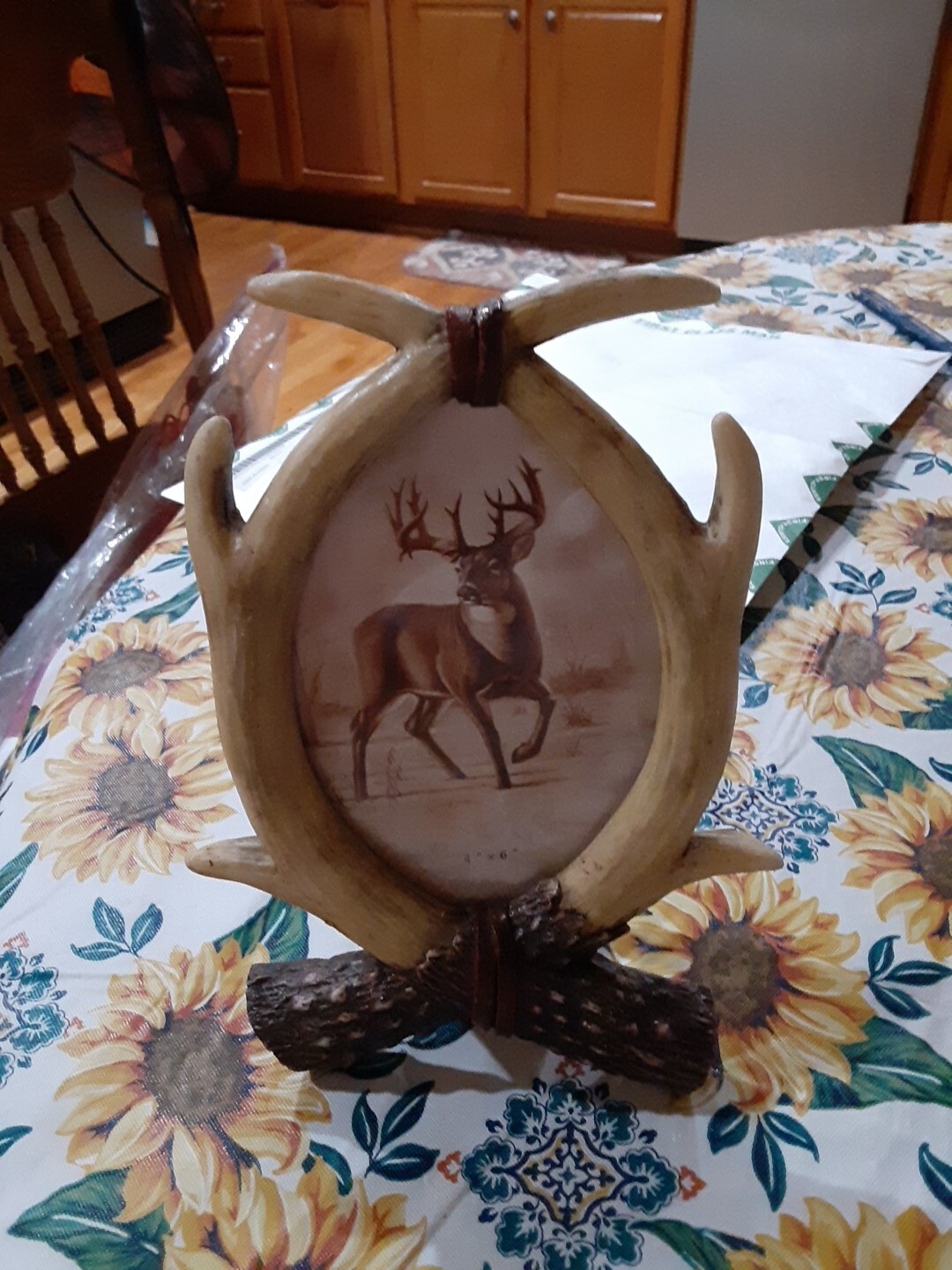 Picture 2 of 5
