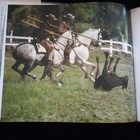 Bild 7 von 12