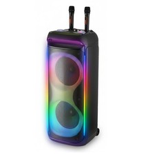Dual 12'' Portable Bluetooth Speaker Subwoofer FM Heavy Bass Sound Karaoke w/Mic