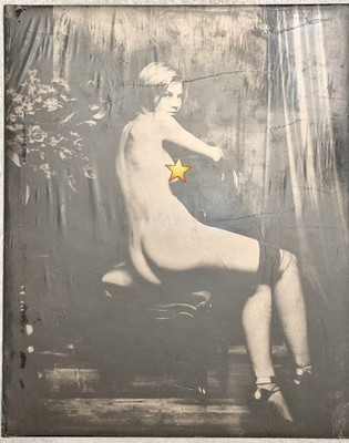 Robert Maxwell Photographs   Genevieve Field (Arena Editions   2000) New Sealed