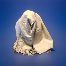 New 100 Pashmina Scarf/Shawl Shimmery White 76  x27 Plus 4  Fringe Both Ends