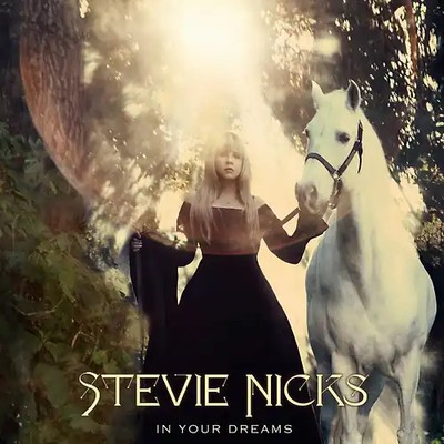Stevie Nicks - In Your Dreams ZUSTAND SEHR GUT
