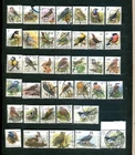 Z_1 Belgium birds used stamps fauna collection