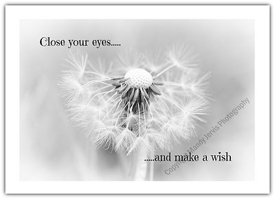 Pusteblume ''Make A Wish'' Natur Viel Glück - Grußkarte Geburtstag / Notizblatt