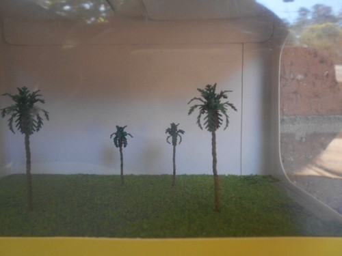 Árboles premium de palmeras MP Scenery Products artículo # 70428 escala N de 2 - Imagen 3 de 6