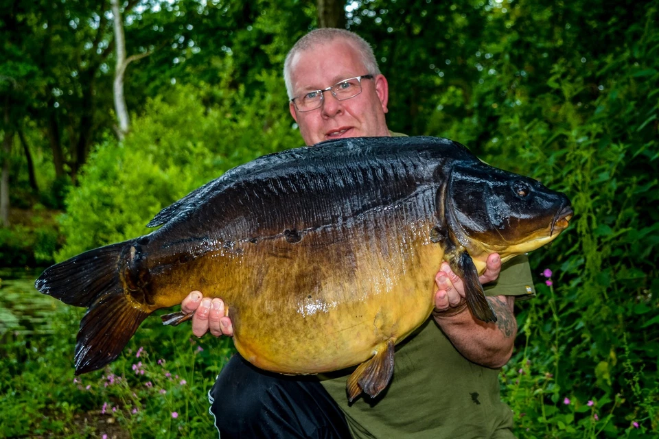 Carping Mad5! (The final part of the trilogy) Brand new and SIGNED - Image 2 of 4