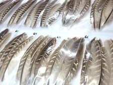 PHEASANT TAIL FEATHERS - U PICK - Various Feather Packs - Fly Tying Materials