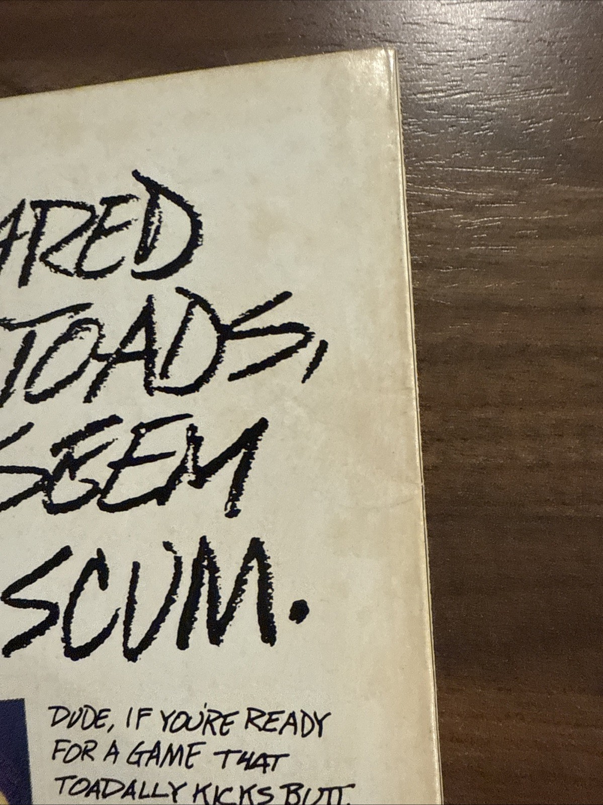 The Spectacular Spider-Man Annual #11 (Marvel Comics 1991)