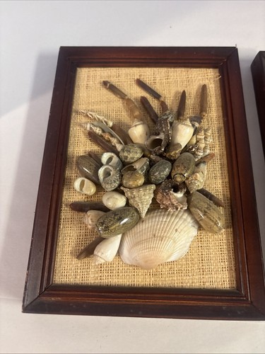Set Of 3 Handmade Vintage Shell Art Pictures. 5x8 Made In Philippines - Picture 2 of 16