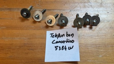 Telefunken Concertino 5384W Original Cabinet Mount Screws Set