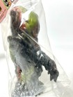 Bild 12 von 15