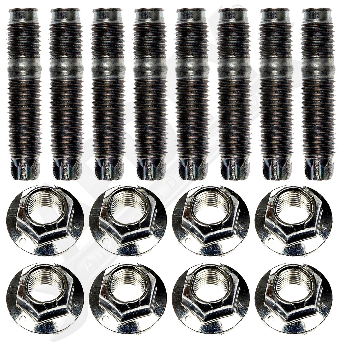 オールドSTUDセット APDTY 161243 Exhaust Manifold Stud & Nut Hardware Kit (Set Of 8