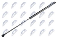 Nty Gasfeder Heckscheibe AE-CT-041 FüR Partner Berlingo Peugeot Tepee Thp 100 B9