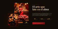 pagina web, landing page, web, e-commerce…