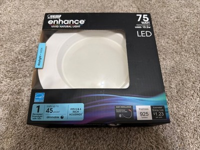 Feit Electric DAYLIGHT 5000K 75W Daylight White