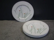 MIKASA/STUDIO NOVA SKETCH BOOK 8-1/4" SALAD PLATES