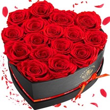 Impouo 16-Piece Preserved Rose Birthday Gifts for Women, Eternal 16 Rose, Red 