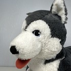 Foto 2 di 8