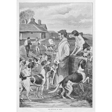 FOX HUNTING The Huntsman at Fault - Antique Print 1891