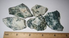 5 BEAUTIFUL SMALL NATURAL ROUGH 1.5"- 2" TREE AGATE STONE MINERALS 138.2grams 1