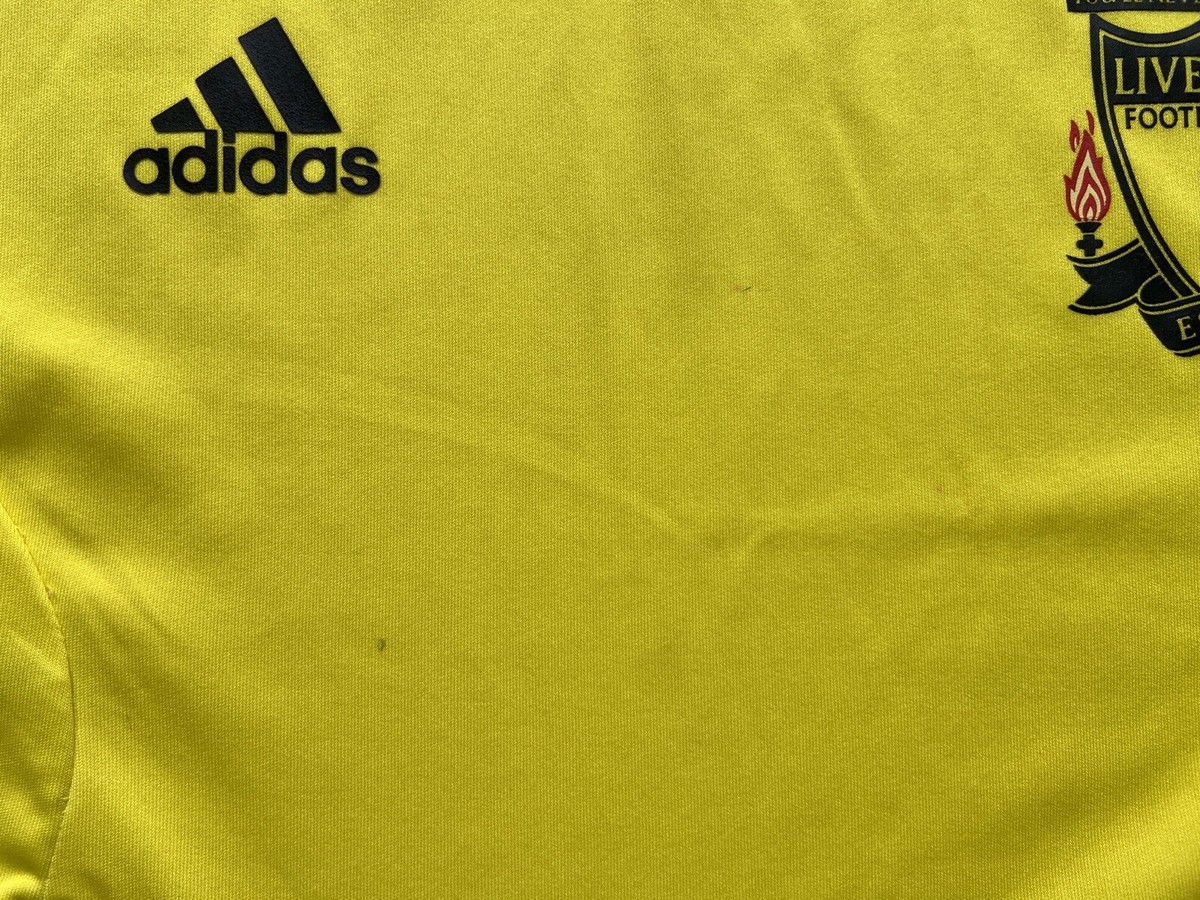 LIVERPOOL 2010 2011 TRAINING FOOTBAL SHIRT JERSEY ADIDAS P00761 sz