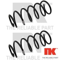 2X Fahrwerksfeder NK 534793 2 Federn Satz Federnsatz