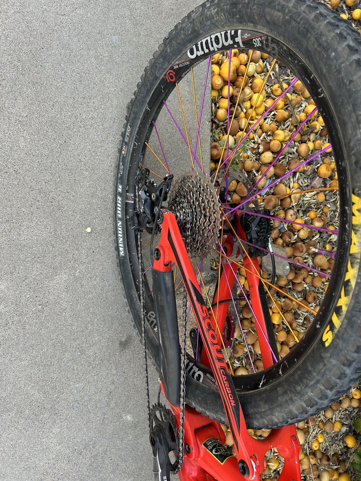 2017 Transition Scout XL
